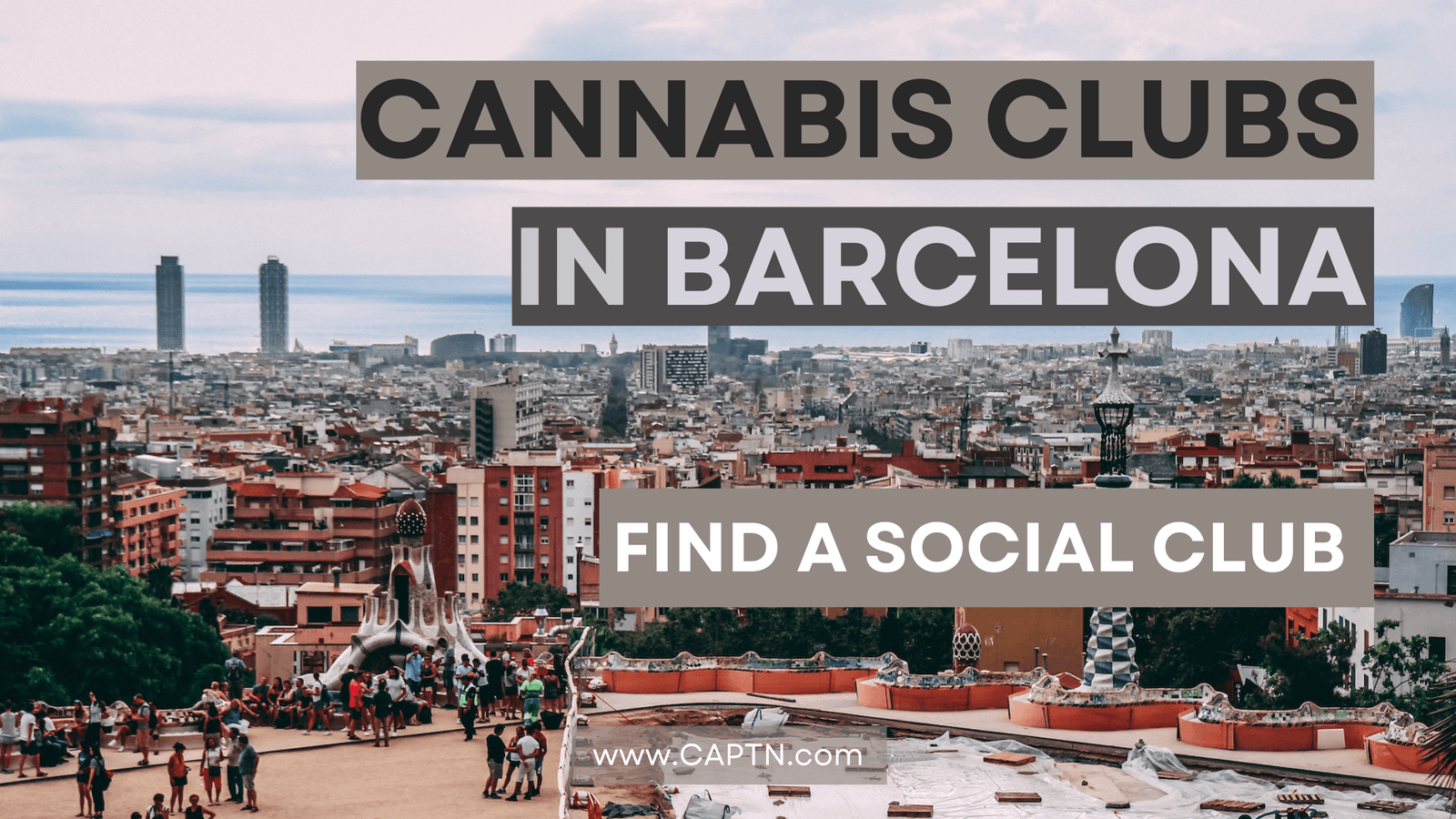 Wie funktionieren Social Clubs in Barcelona?