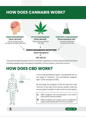 Cannabis-Leitfaden | THC und CBD