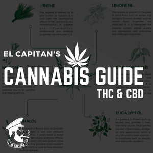 Cannabis-Leitfaden | THC und CBD